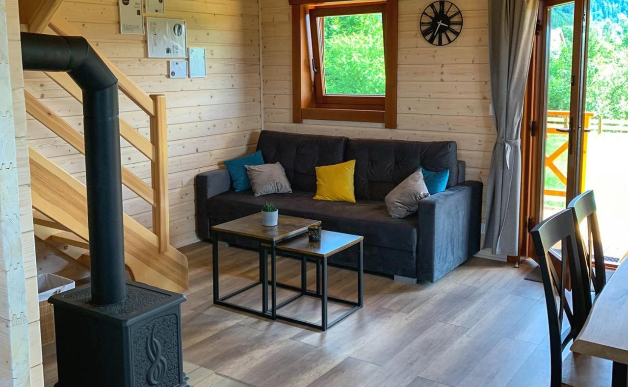 Pod Czarną Górą Domek alpejski